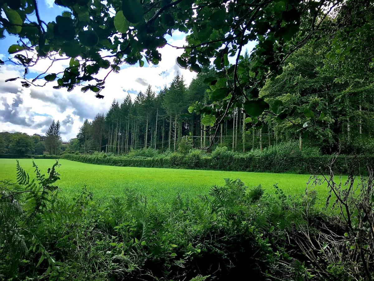 Trelaske Mill Cider Barn-With Hot Tub, Fire Pit Bbq Lewannick المظهر الخارجي الصورة